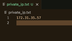 terraform provisiones private_ip.txt