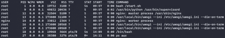 kubectl exec - ps aux inside container