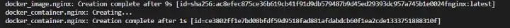 terraform docker creating two containers