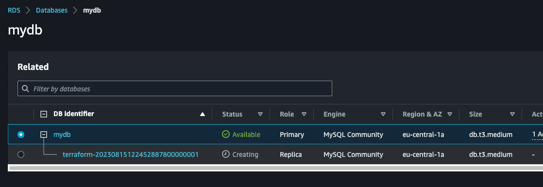 terraform rds performance insights