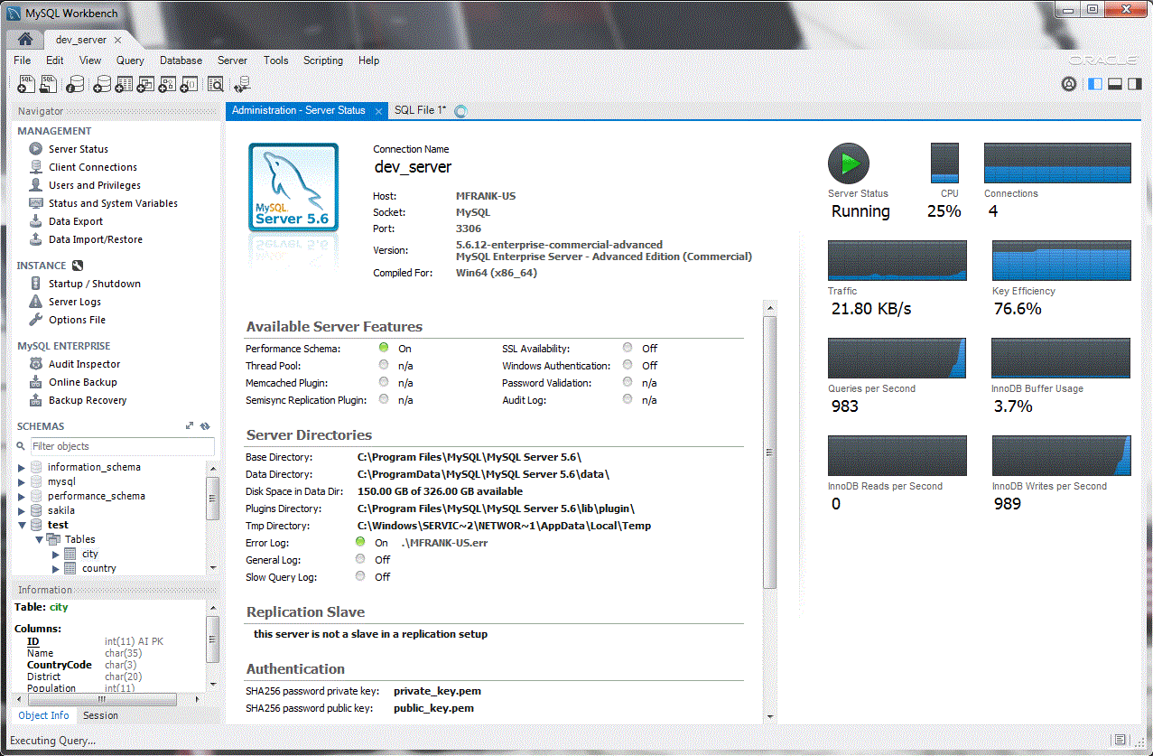 screenshot from the mysql workbench showing the server details