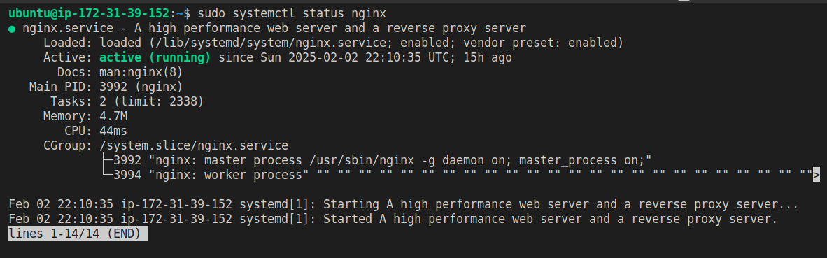 latest nginx version ansible apt