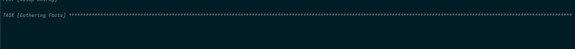 console output when you execute a playbook