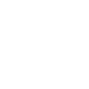 Figma logo in white