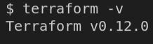 $ terraform -v 