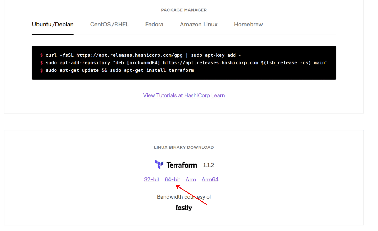 download link for Linux from the Terraform site