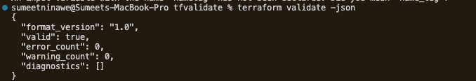 terraform validate -json