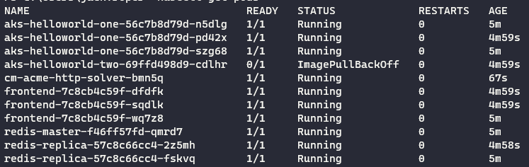 view pods aks cluster