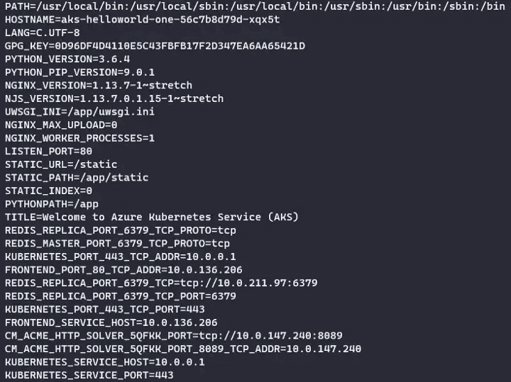 kubectl exec pod name - env