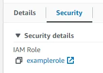 terraform iam role security