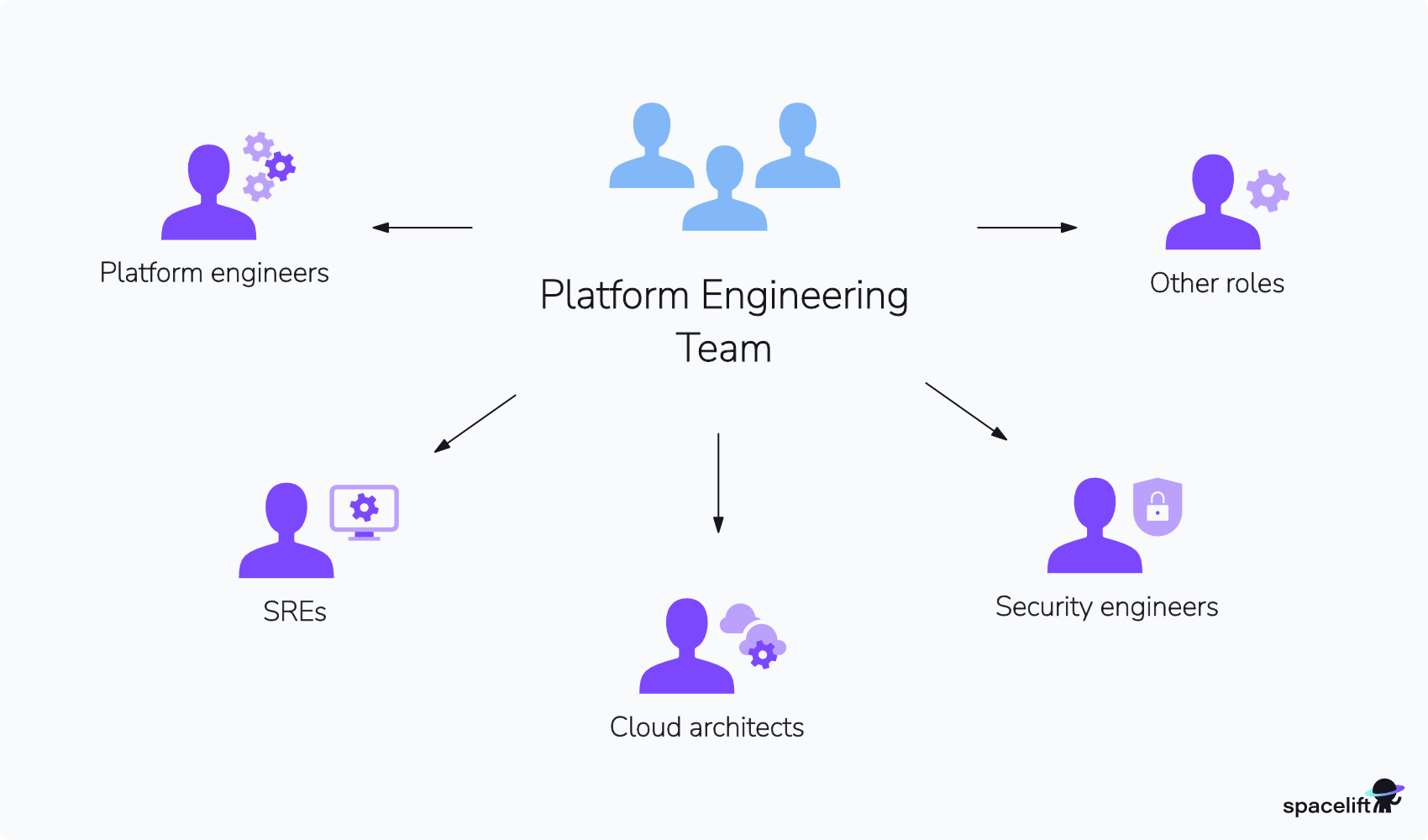 platform engineering team