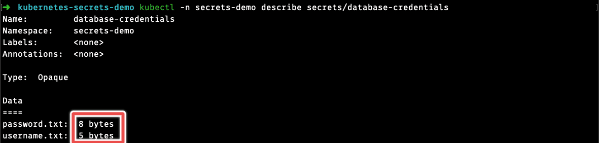 kubernetes secret kubectl describe