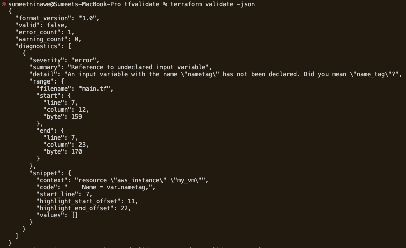 terraform validate -json attributes