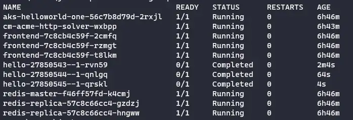 view pods in the default namespace