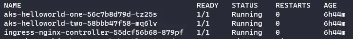 view the pods within the namespace