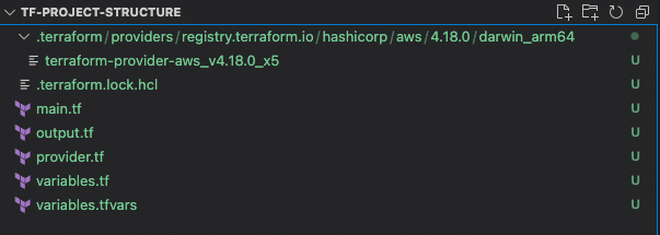 terraform project structure after terraform init