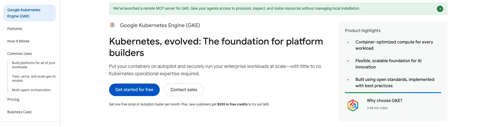 A screenshot showing Google GKE in Google Cloud documentation