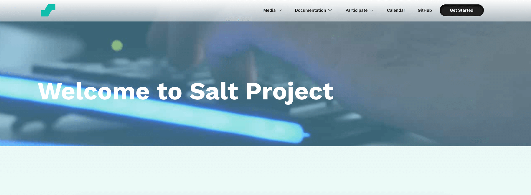 screenshot showing salt homepage