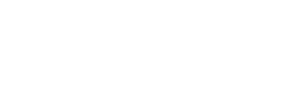 lansweeper logo in white