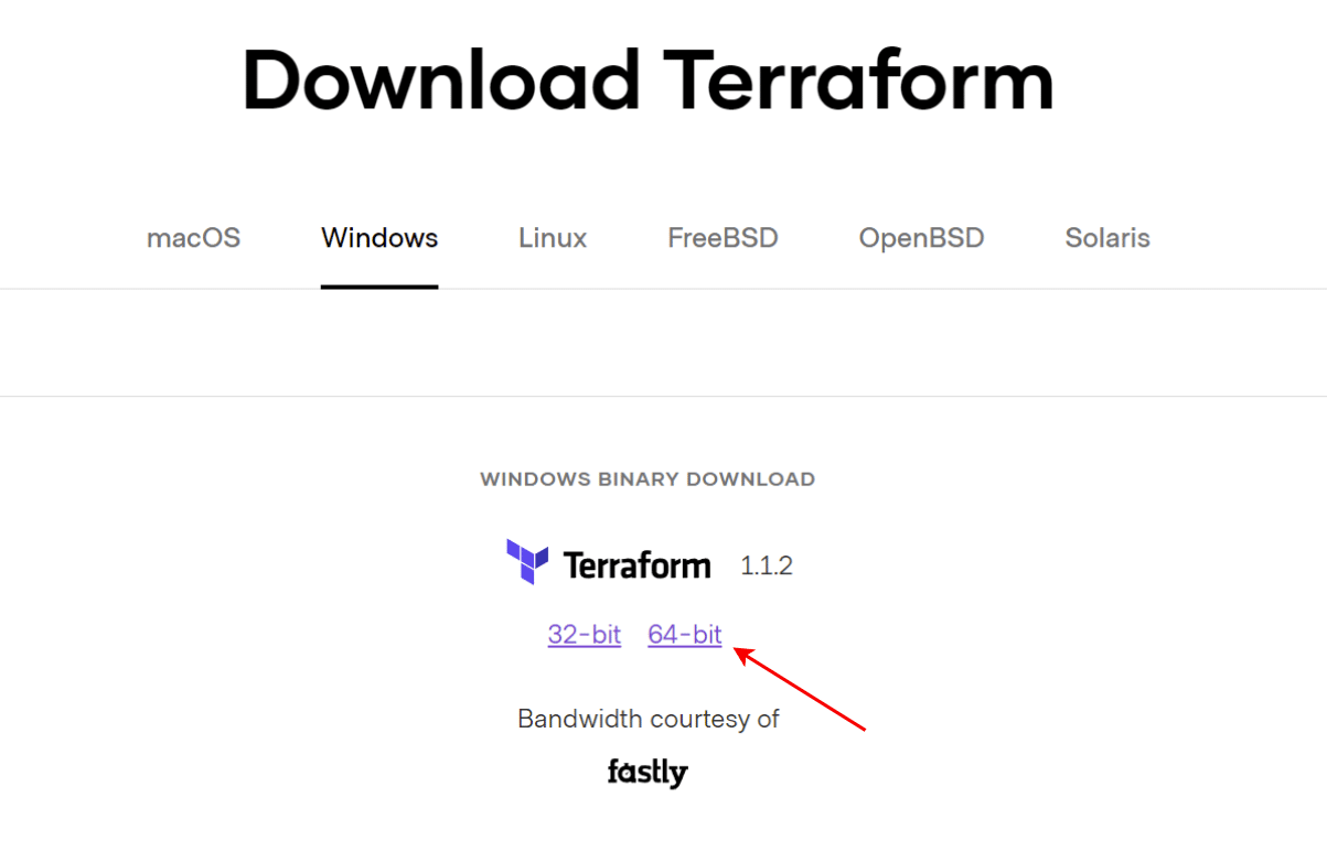 downloading V1.1.0 from Terraform downloads on Windows