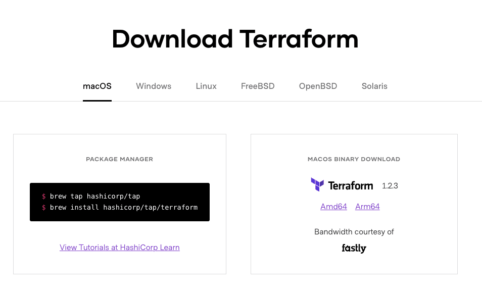 Download Terraform