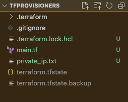 terraform provisioners create a new file
