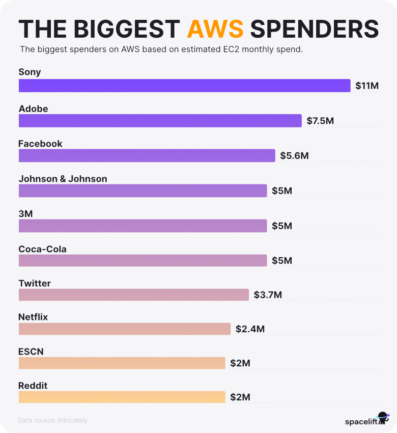 the biggest aws spenders infographic